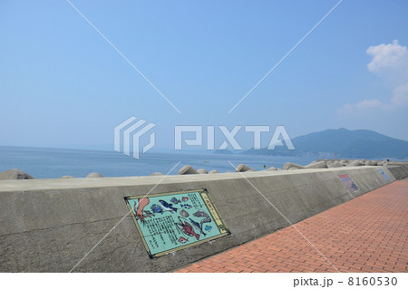 長崎県雲仙市小浜 8160530