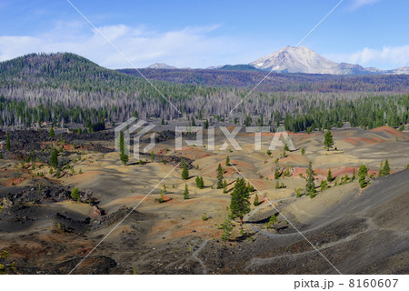 Colorful painted dunes Colorful painted dunes 8160607