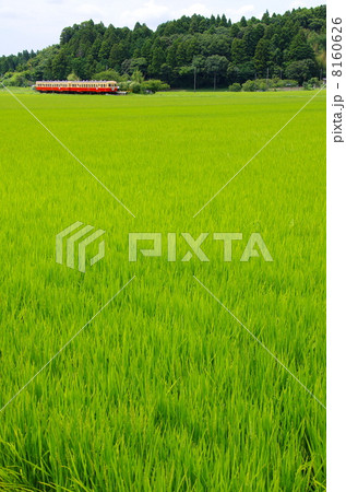 小湊鉄道 8160626