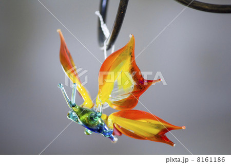 The decorative glass butterfly 8161186