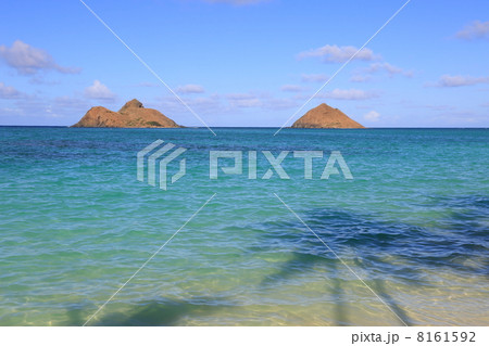 ラニカイビーチ 8161592