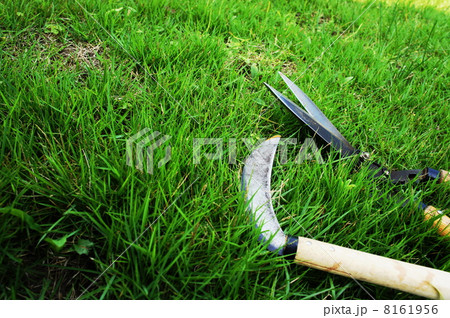芝刈り 8161956