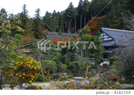 京都実光院の紅葉風景 8162150
