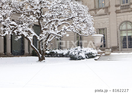 Winter in New York 8162227