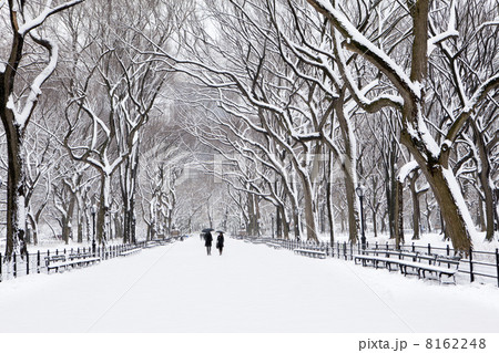 Winter in New York 8162248