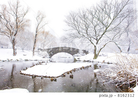 Winter in New York 8162312