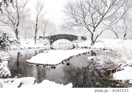 Winter in New York Winter in New York 8162335