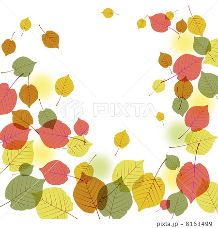 秋 落ち葉のイラスト素材 8163499 Pixta