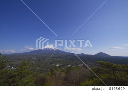 紅葉台からの富士山 8163699