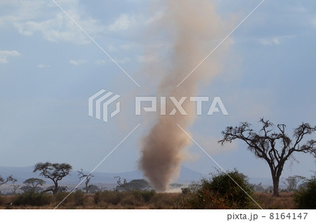 竜巻＠サバンナ 8164147