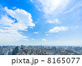 スカイブルー・東京 8165077