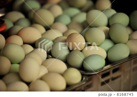 いろいろな卵あります 8168745