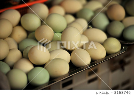 いろいろな卵あります 8168746