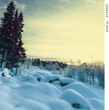 Winter resort 8168985