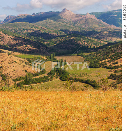 Fields in Crimea Fields in Crimea 8169019