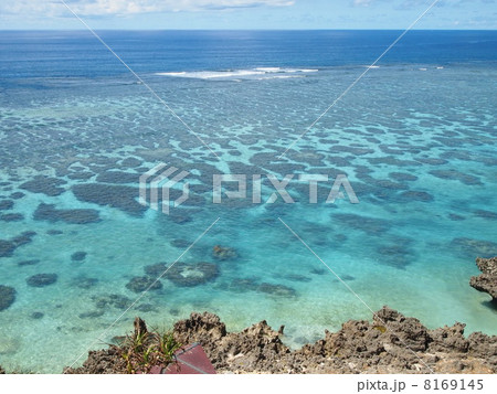 海 海 8169145