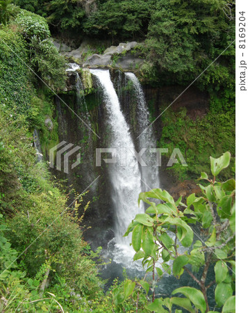 富士　音無の滝 8169204