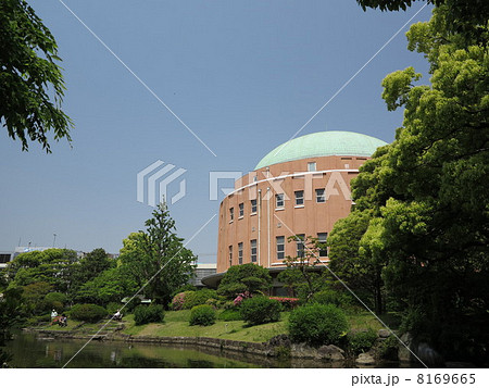 旧安田庭園 8169665