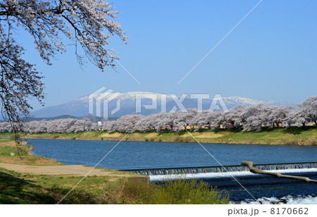 一目千本桜と蔵王連峰 8170662
