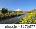 富士山020 8170677