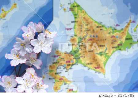 桜前線　北海道イメージ 8171788