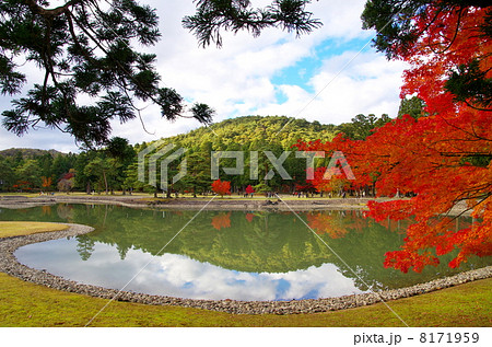 毛越寺浄土庭園の紅葉（岩手県平泉町） 8171959