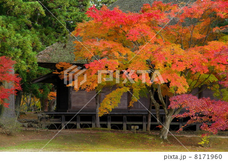毛越寺　常行堂 8171960
