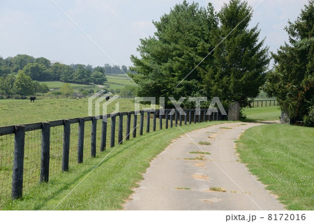 アメリカ 葉タバコ農家 アメリカ 葉タバコ農家 8172016