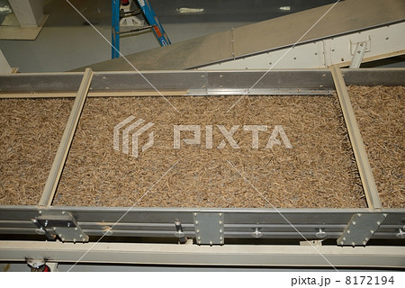 アメリカ　たばこ原料工場 8172194