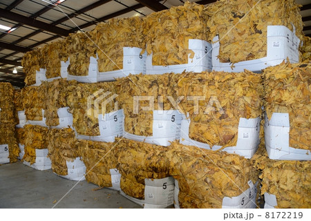 アメリカ　葉タバコ　レシービングステーション 8172219