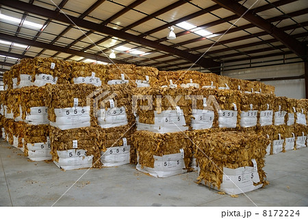 アメリカ　葉タバコ　レシービングステーション 8172224