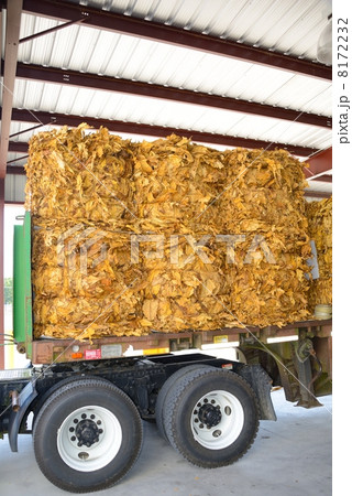 アメリカ　葉タバコ　レシービングステーション 8172232