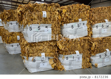 アメリカ　葉タバコ　レシービングステーション 8172236