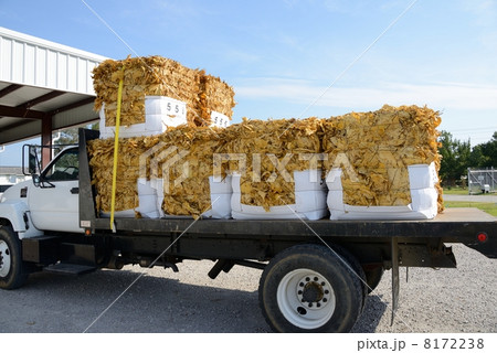 アメリカ 葉タバコ レシービングステーション アメリカ 葉タバコ レシービングステーション 8172238