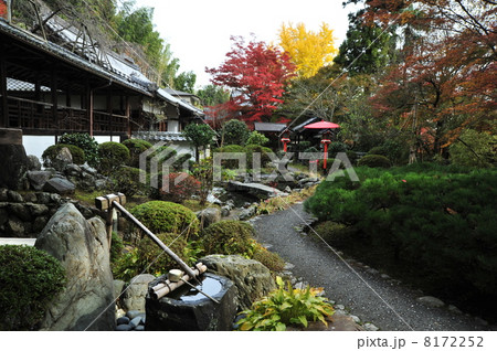 京都　十輪寺の秋 8172252