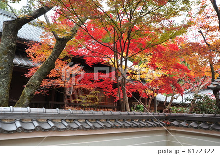 京都　勝持寺の紅葉 8172322