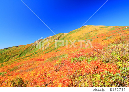 紅葉の栗駒山 8172755