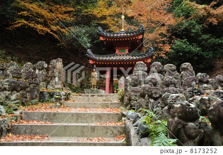 京都　愛宕念仏寺 8173252