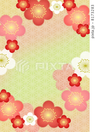 梅柄 梅柄 8173283