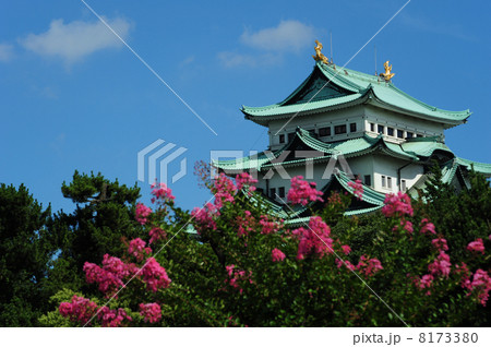名古屋城 名古屋城 8173380