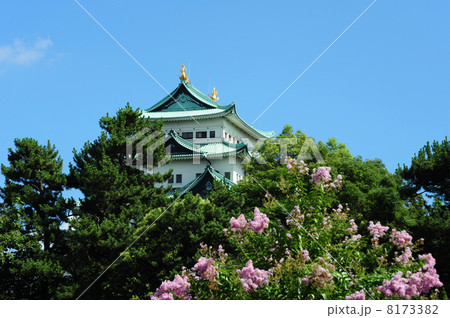 名古屋城 8173382