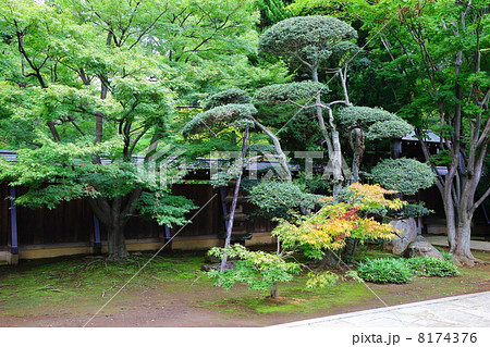 Heirin-Ji (Visiting Road at Heirin-Ji) 8174376