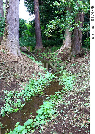 Heirin-Ji (Waterway of Nobidome) 8174396