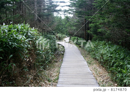 溶岩坪庭自然保護区遊歩道 溶岩坪庭自然保護区遊歩道 8174870