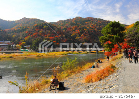 紅葉の嵐山渡月橋 紅葉の嵐山渡月橋 8175467