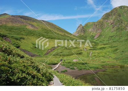 秋田駒ヶ岳 ムーミン谷 の写真素材