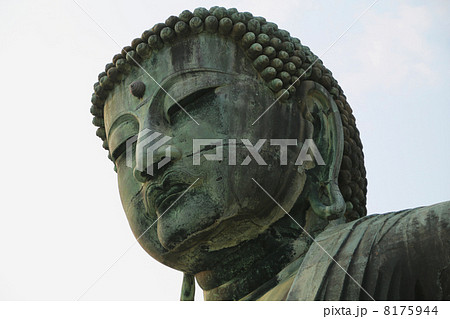 鎌倉大仏 8175944
