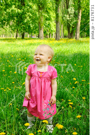 euro banknotes euro banknotes 8176731