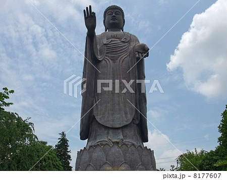 牛久大仏 真正面 牛久大仏 真正面 8177607