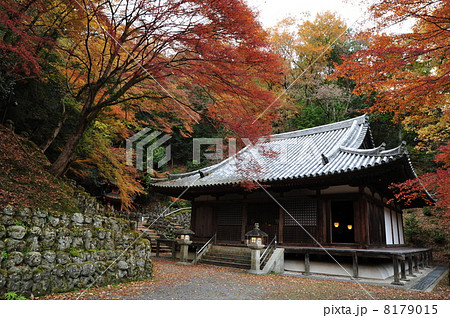京都 愛宕念仏寺の秋 京都 愛宕念仏寺の秋 8179015
